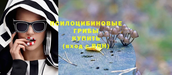 МДПВ Навашино